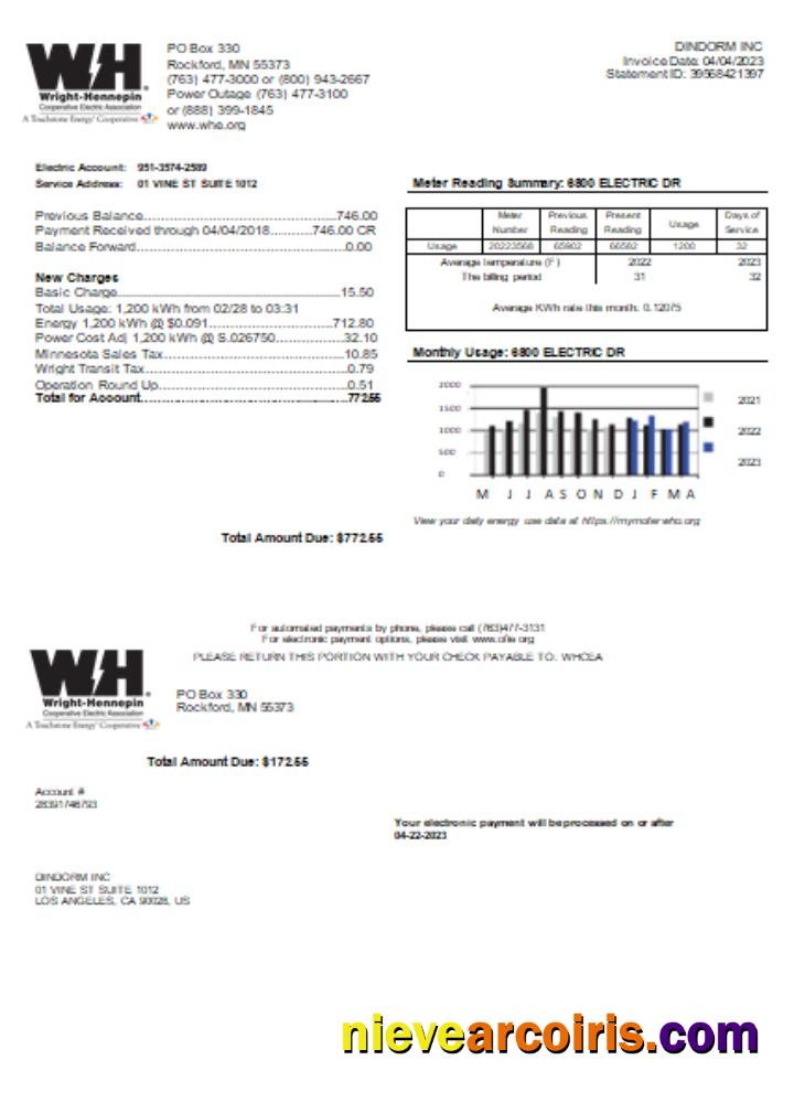 Wright-Hennepin Cooperative Electric Association utility business bill